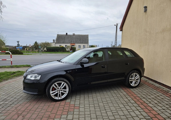 Audi A3 cena 25900 przebieg: 264000, rok produkcji 2010 z Gniezno małe 191